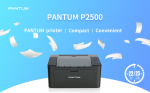 PANTUM P2500