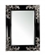 Spogulis 	TEN R1-0422